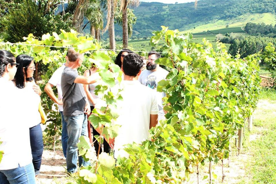 Rota Rural Turismo no Campo-Espirito Santo Do Pinhal必去景点