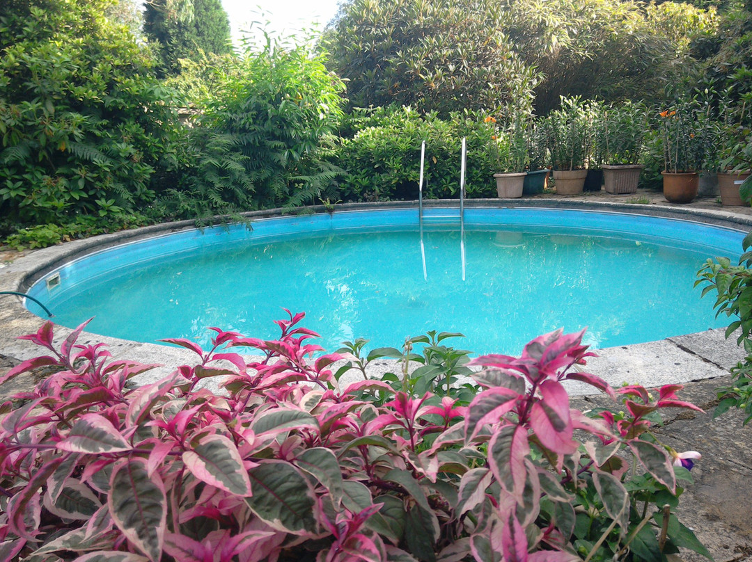 Holly House Bed & Breakfast