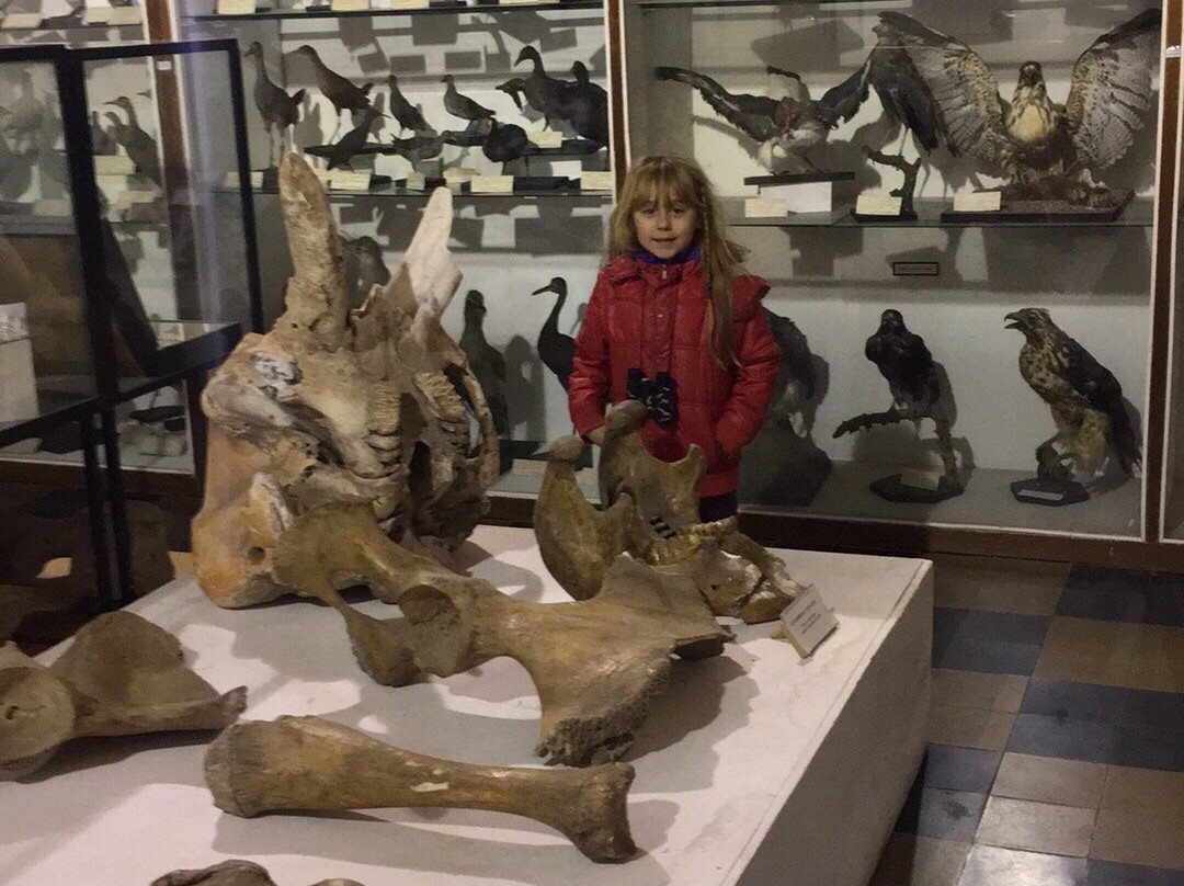 Museo de Ciencia Natural-圣拉斐尔必去景点