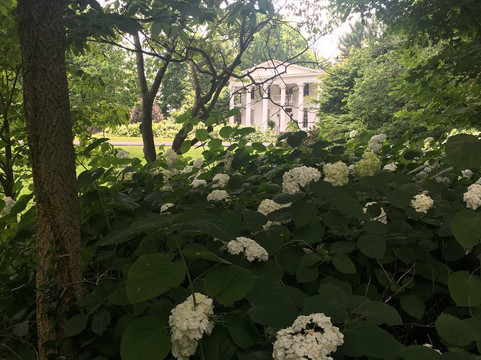 Whitehall House & Gardens-路易斯维尔必去景点