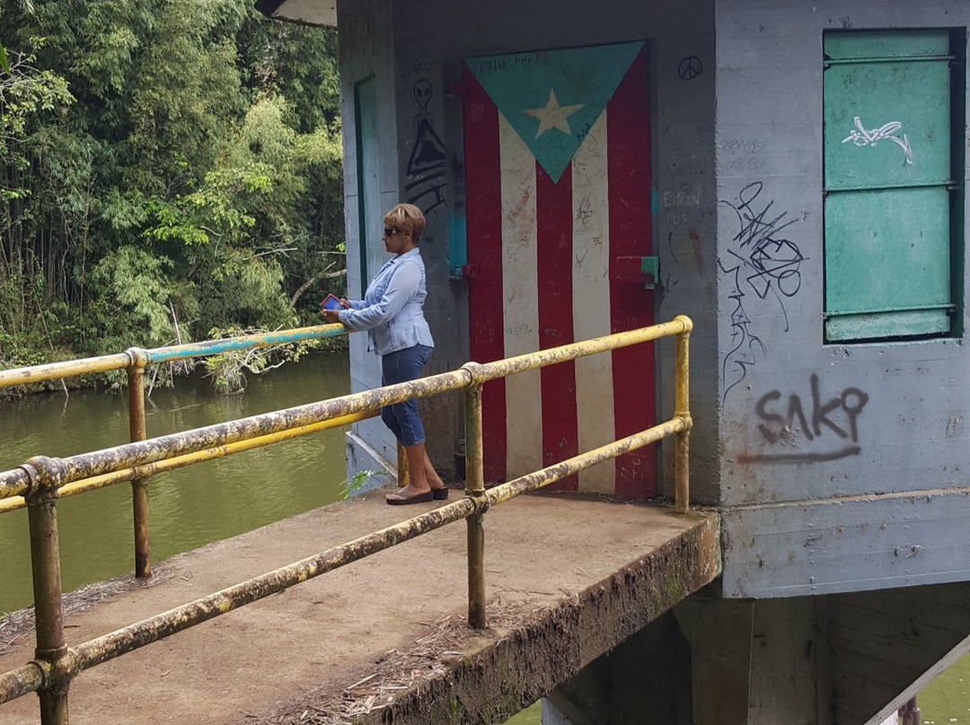 Puente La Hamaca-Adjuntas必去景点