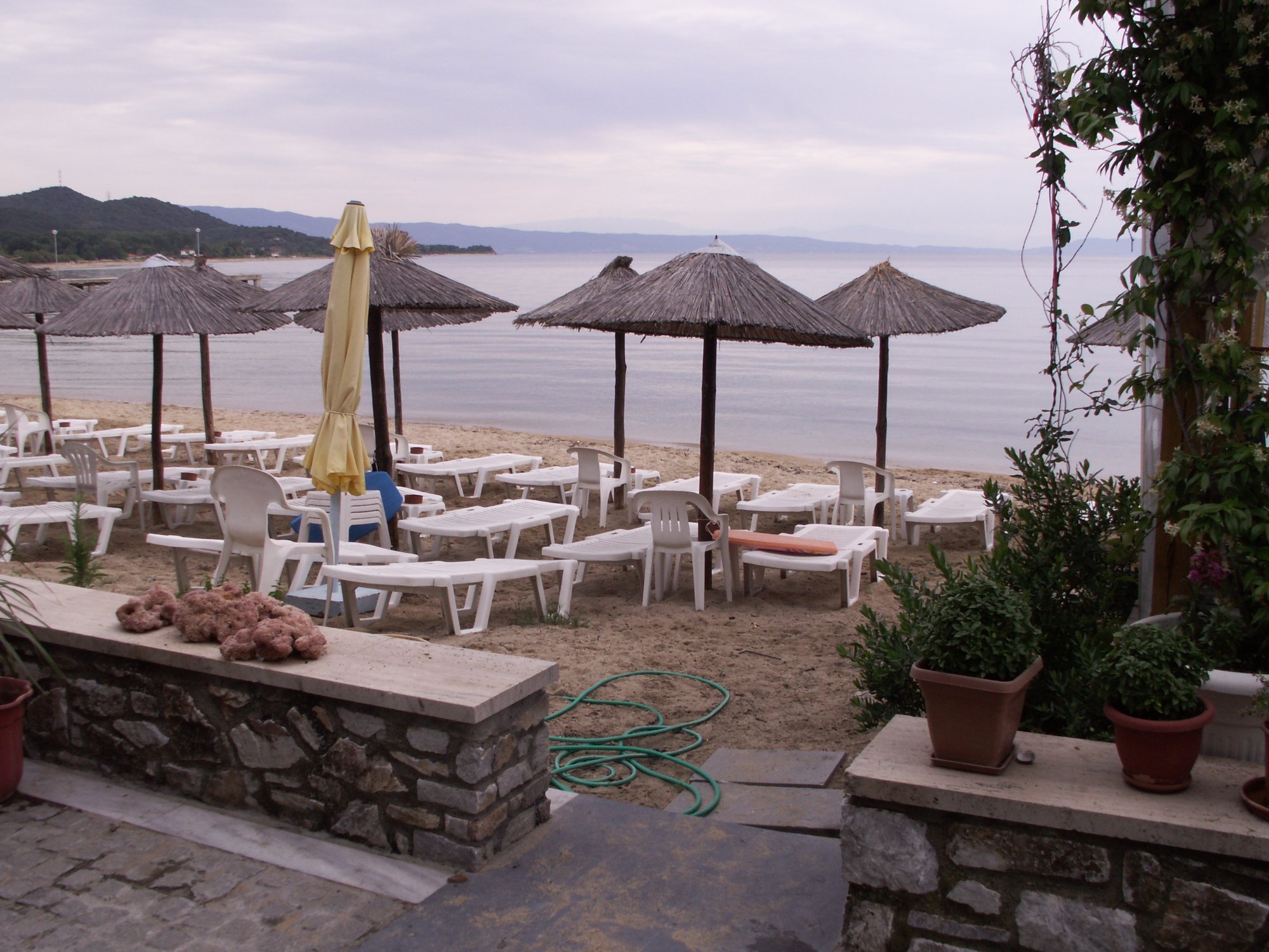 Olympic Hotel-泳池