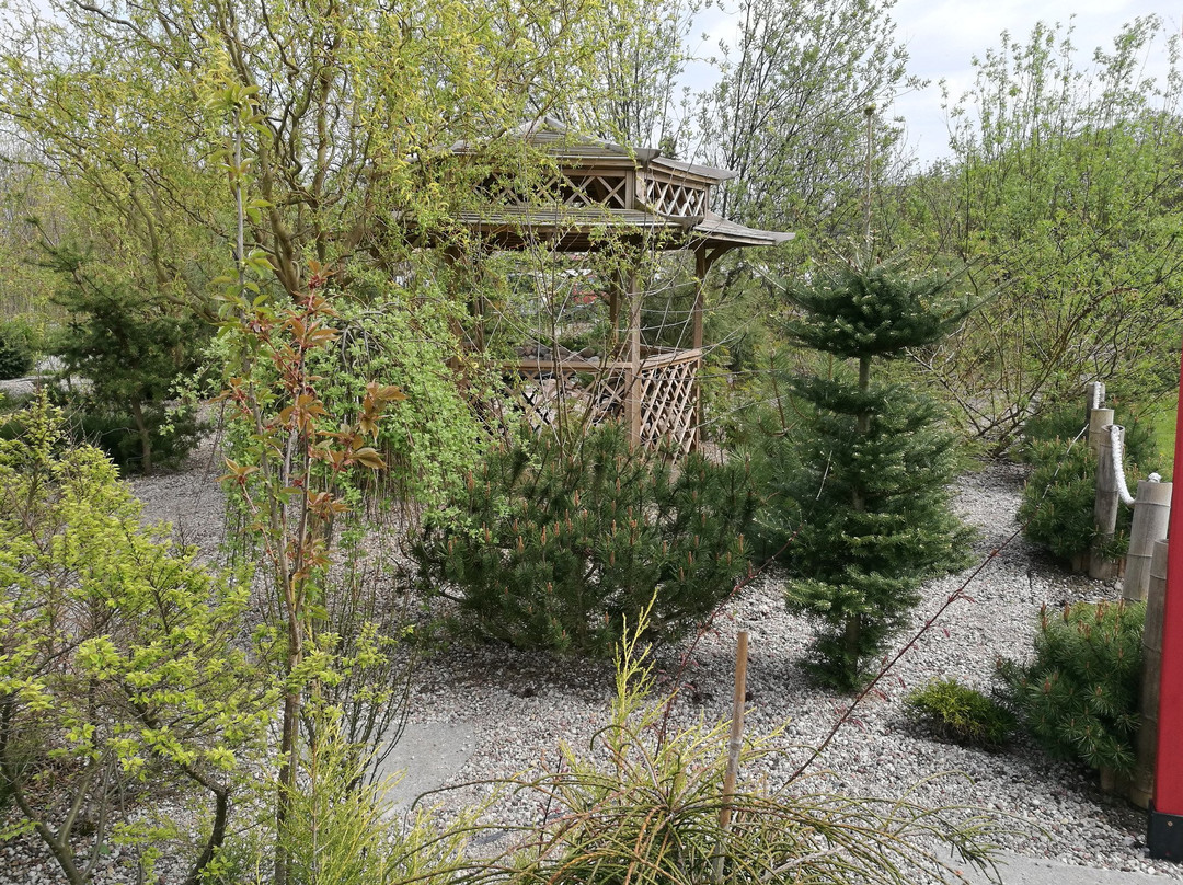 Show Gardens & Butterfly house景点图片