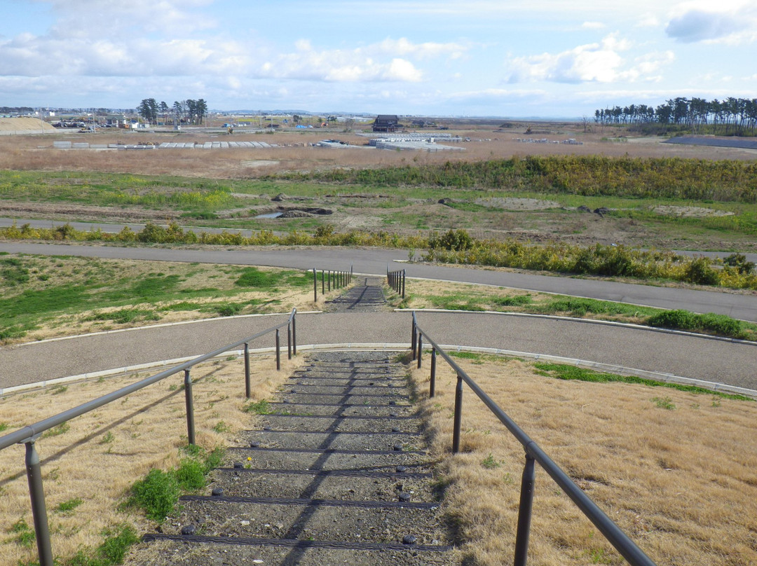 Millennium Hope Hills-岩沼市必去景点