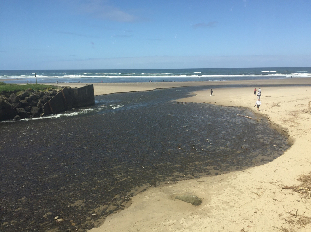 D River State Recreation Site-林肯城必去景点