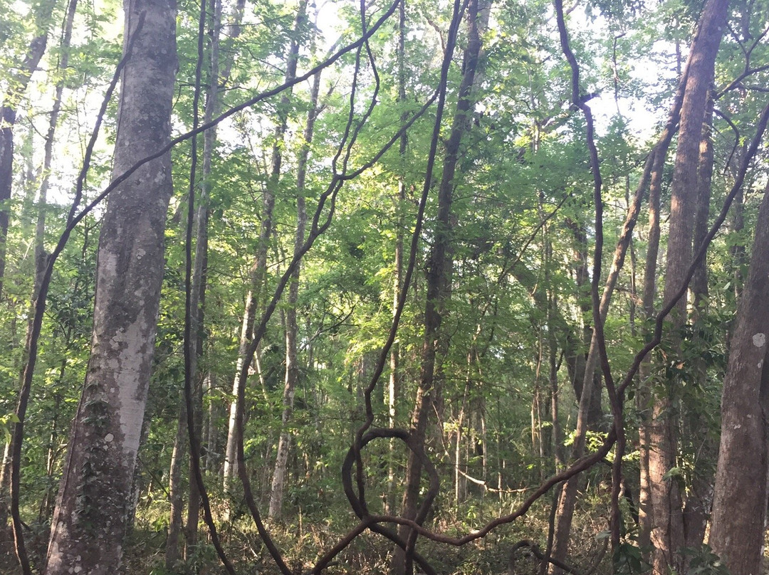 Black Creek Trail-橙园必去景点