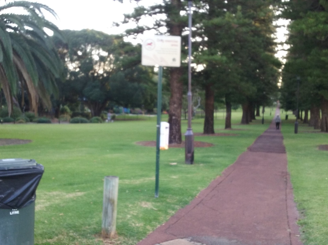 Mueller Park景点图片