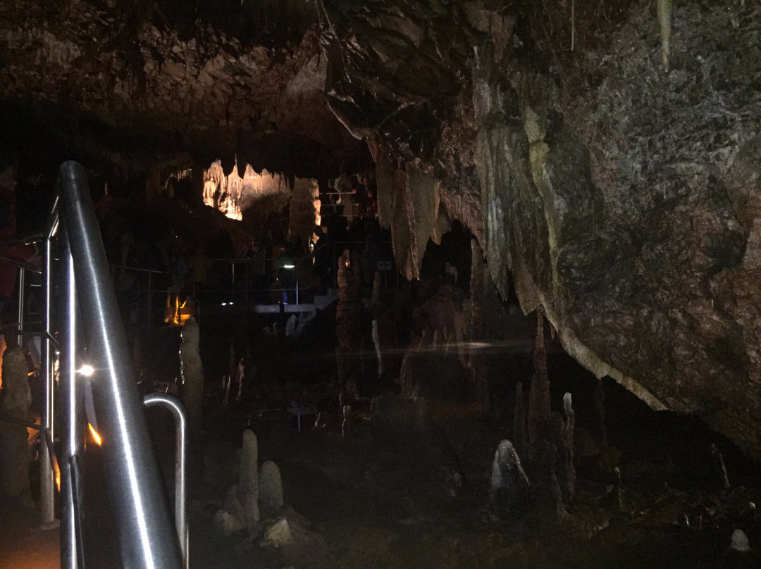 Thanasis Kalofolias VIP Transport-Elliniko必去景点