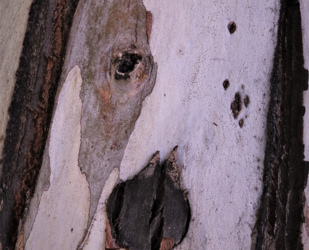 Washington Park-里弗赛德必去景点