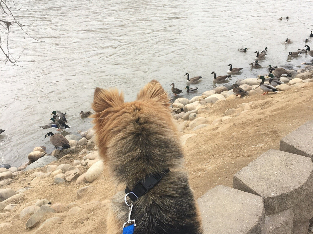 Berg/Animas Trail-法明顿必去景点