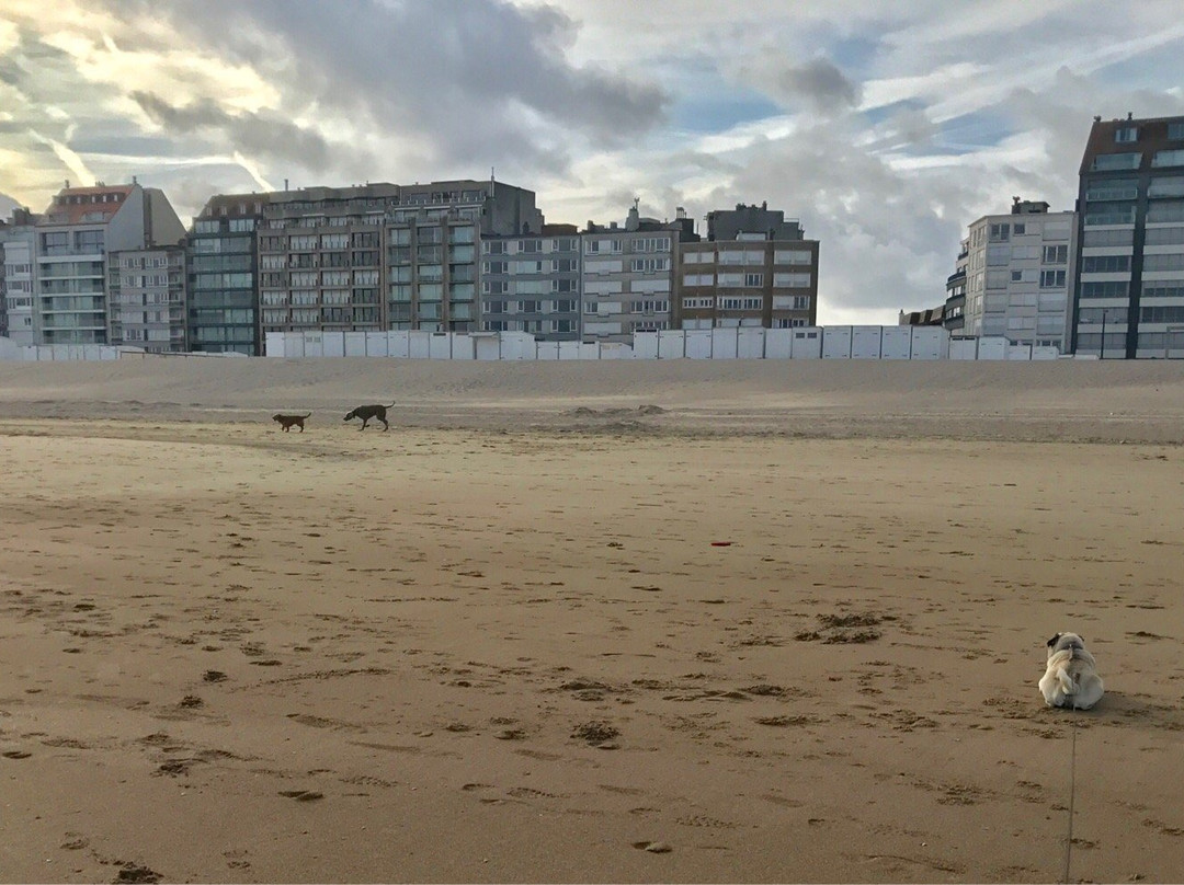 Knokke Boat Duinbergen景点图片