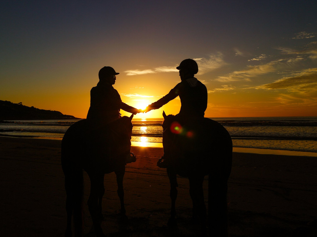 Surf & Turf Horse Riding Raglan-拉格伦必去景点