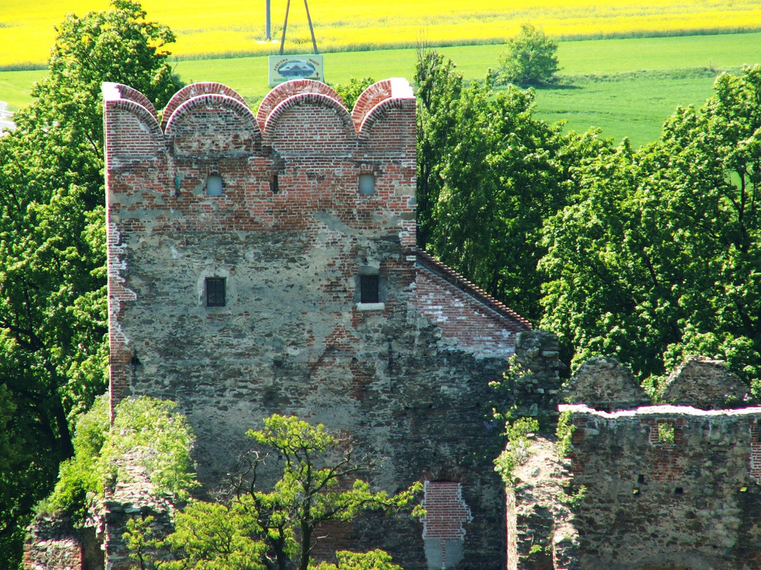 Ruins of Ducal Castle in Zabkowice Slaskie景点图片