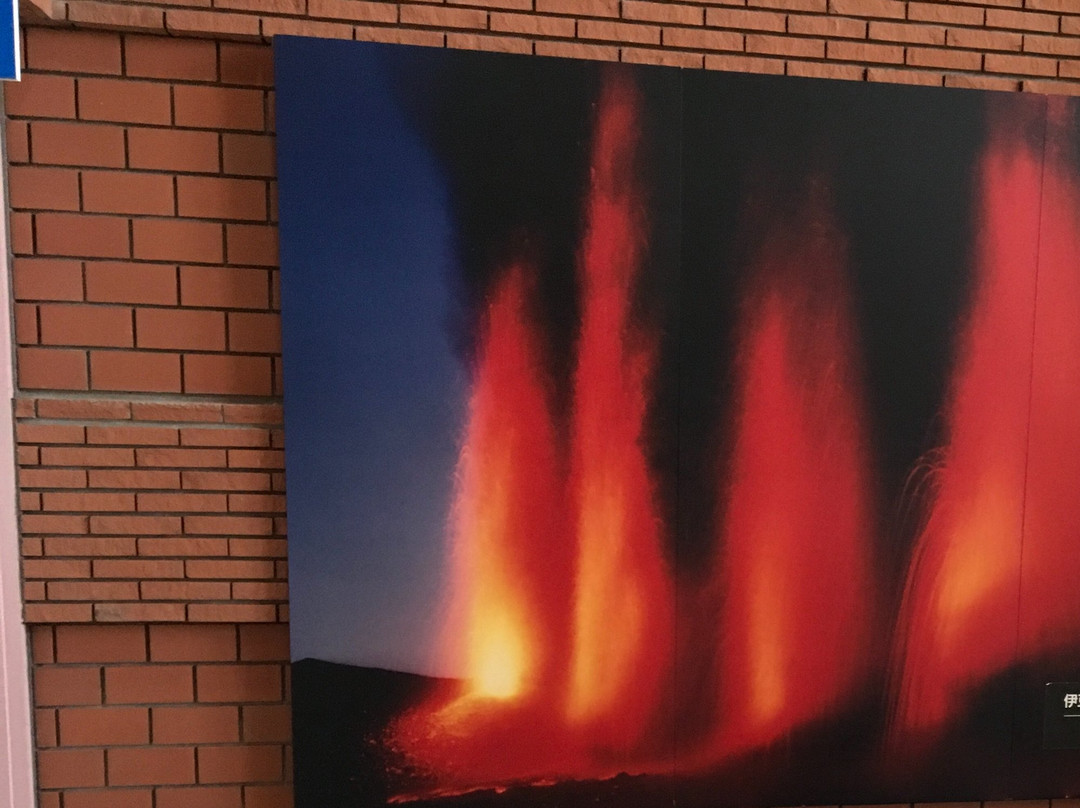 Izu Oshima Volcano Museum-大岛町必去景点