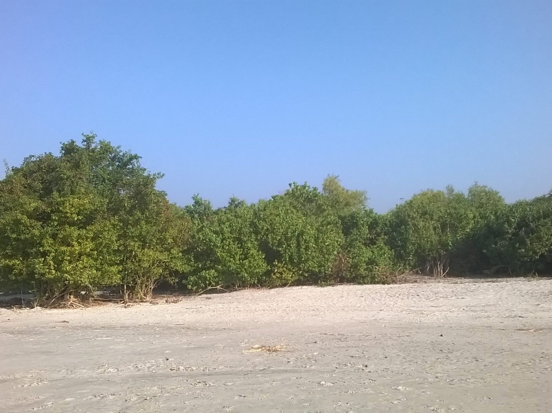 Sonar Char-Barisal Division必去景点