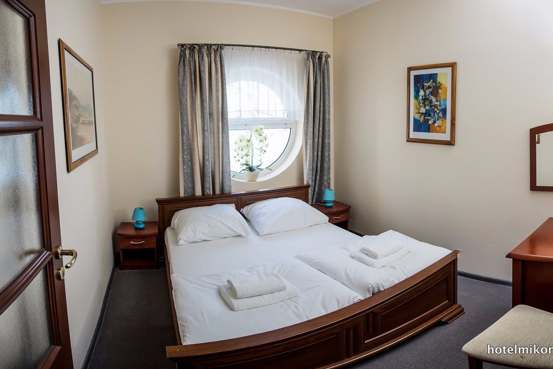 Hotel Mikorzyn主图