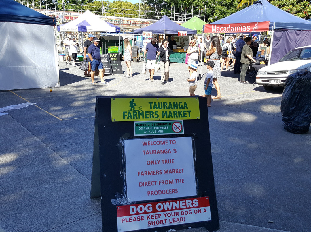 Tauranga Farmer's Market景点图片