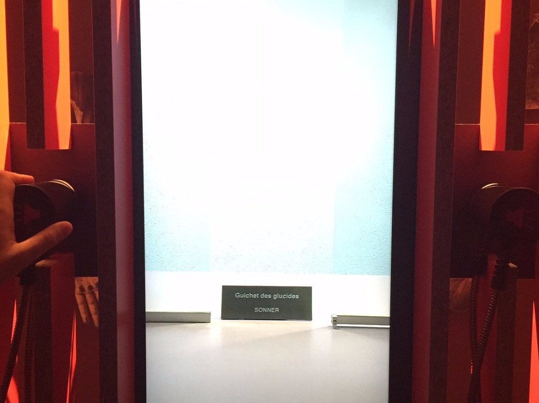 Museum d'histoire naturelle-纳沙泰尔必去景点