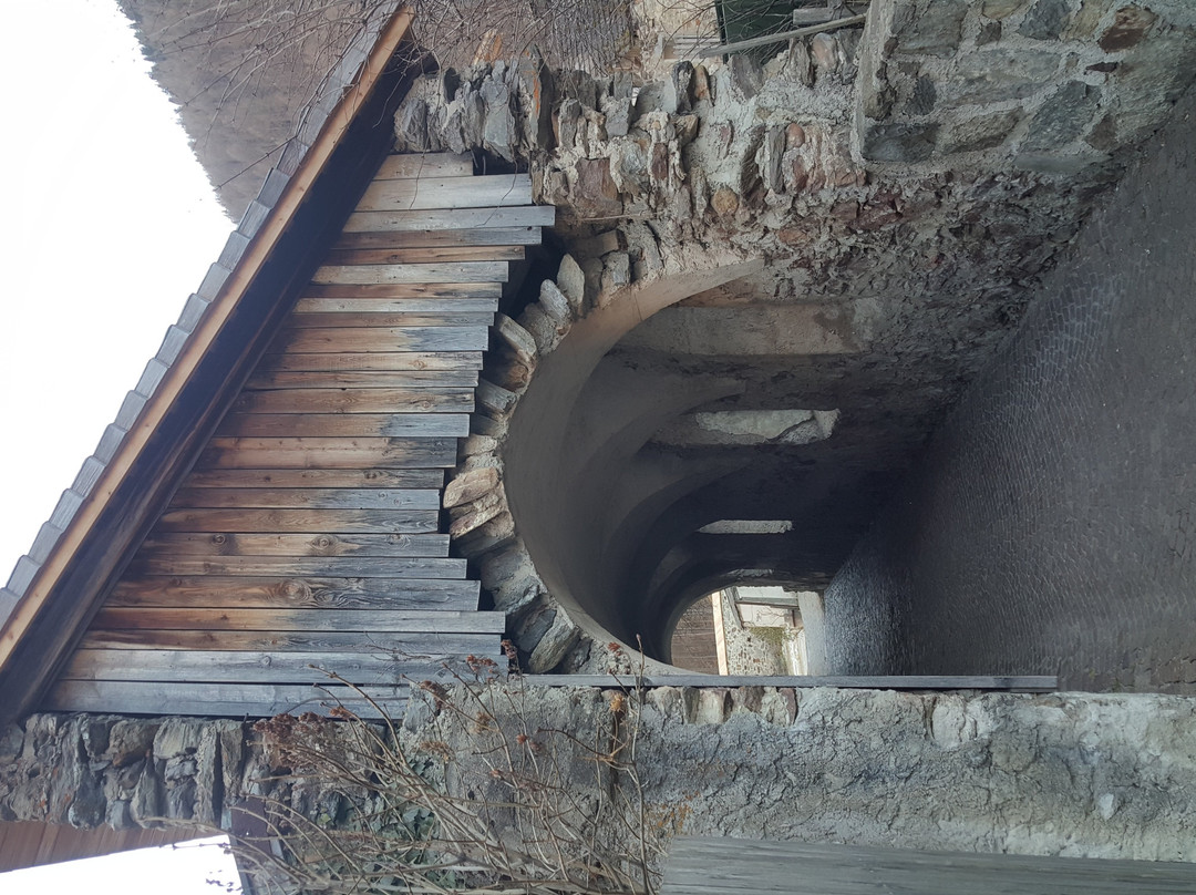 Carthusian Monastery Allerengelberg景点图片