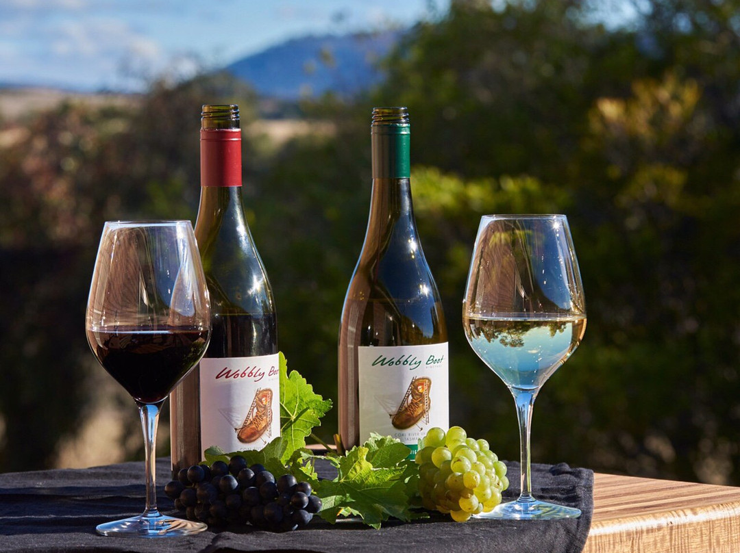 Wobbly Boot Vineyard