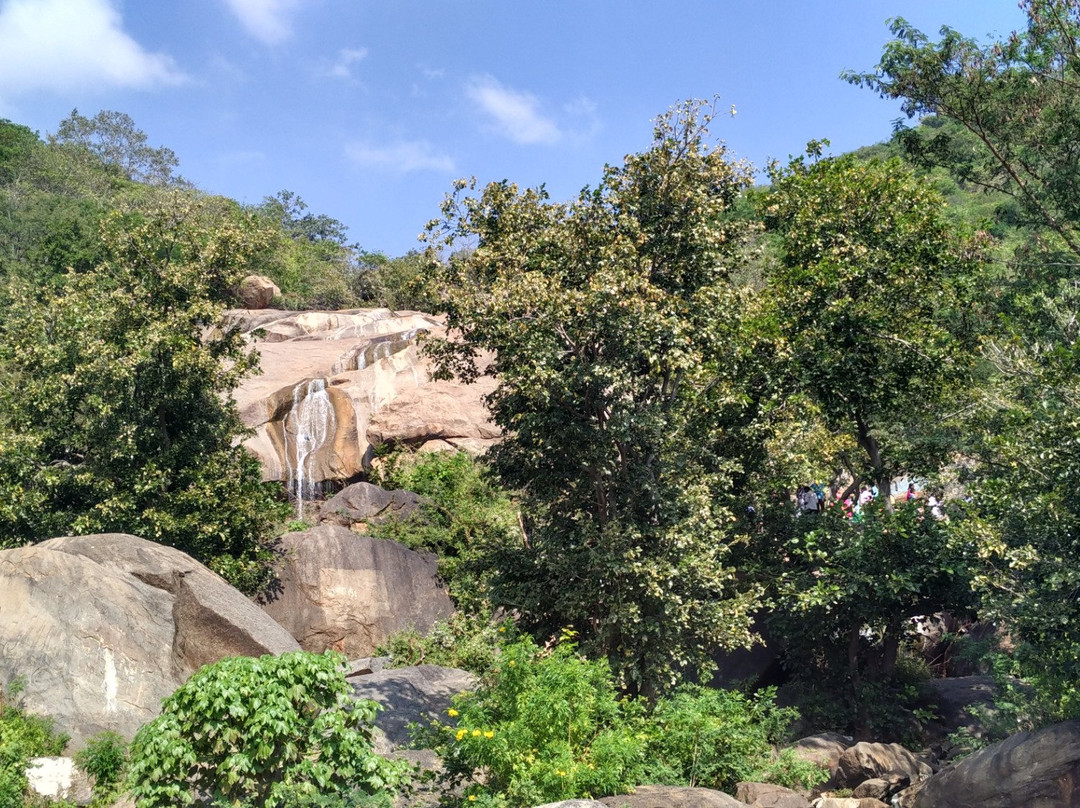 Jalagamparai Falls景点图片