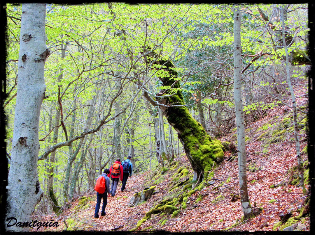 Danitguia-艾斯卡拉伊必去景点