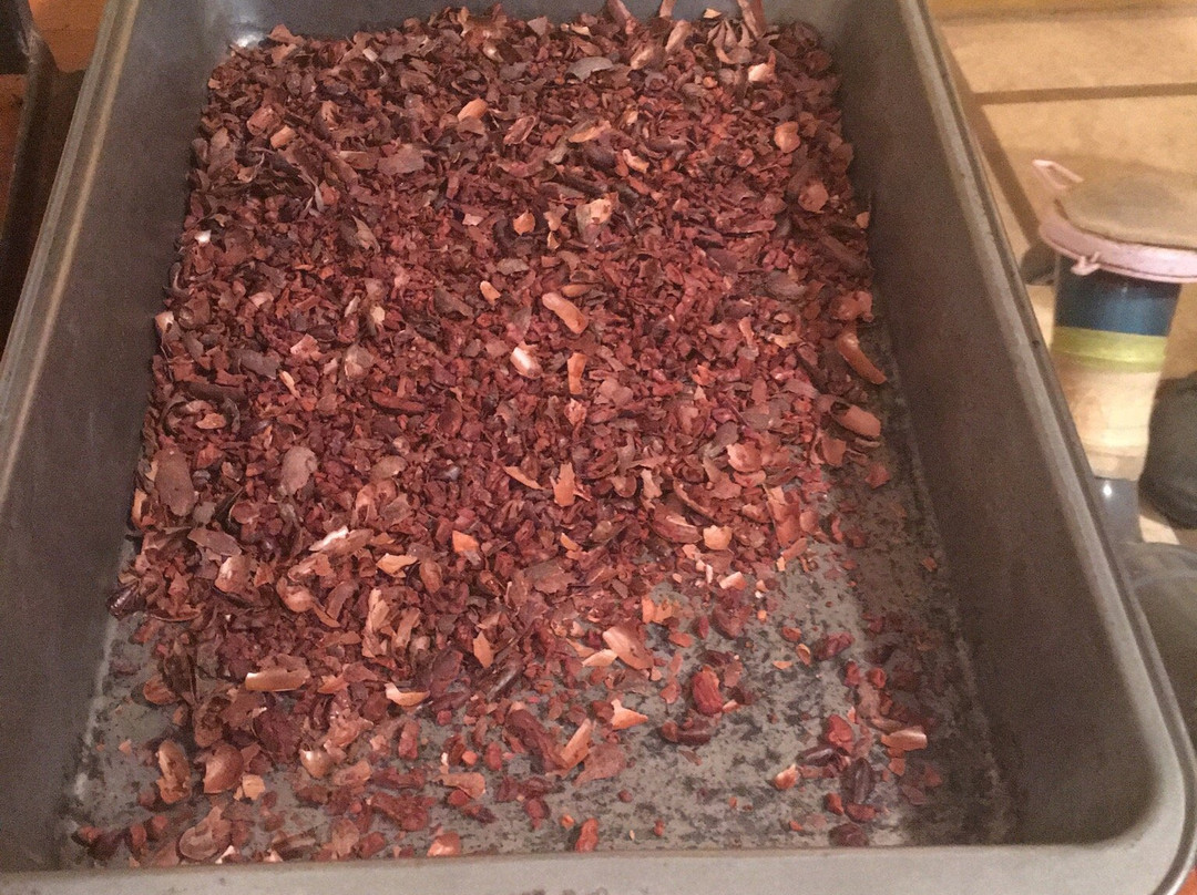 Cabure Chocolate Tour-蒙特沃德必去景点