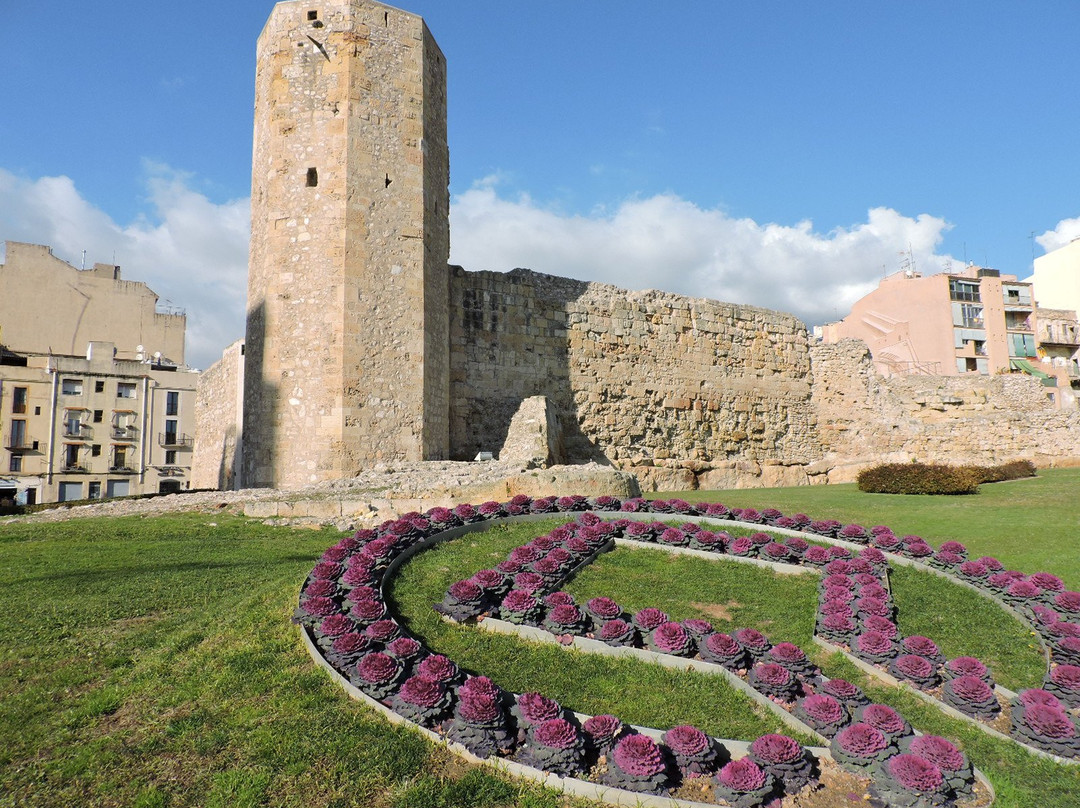 Torre De Las Monjas景点图片