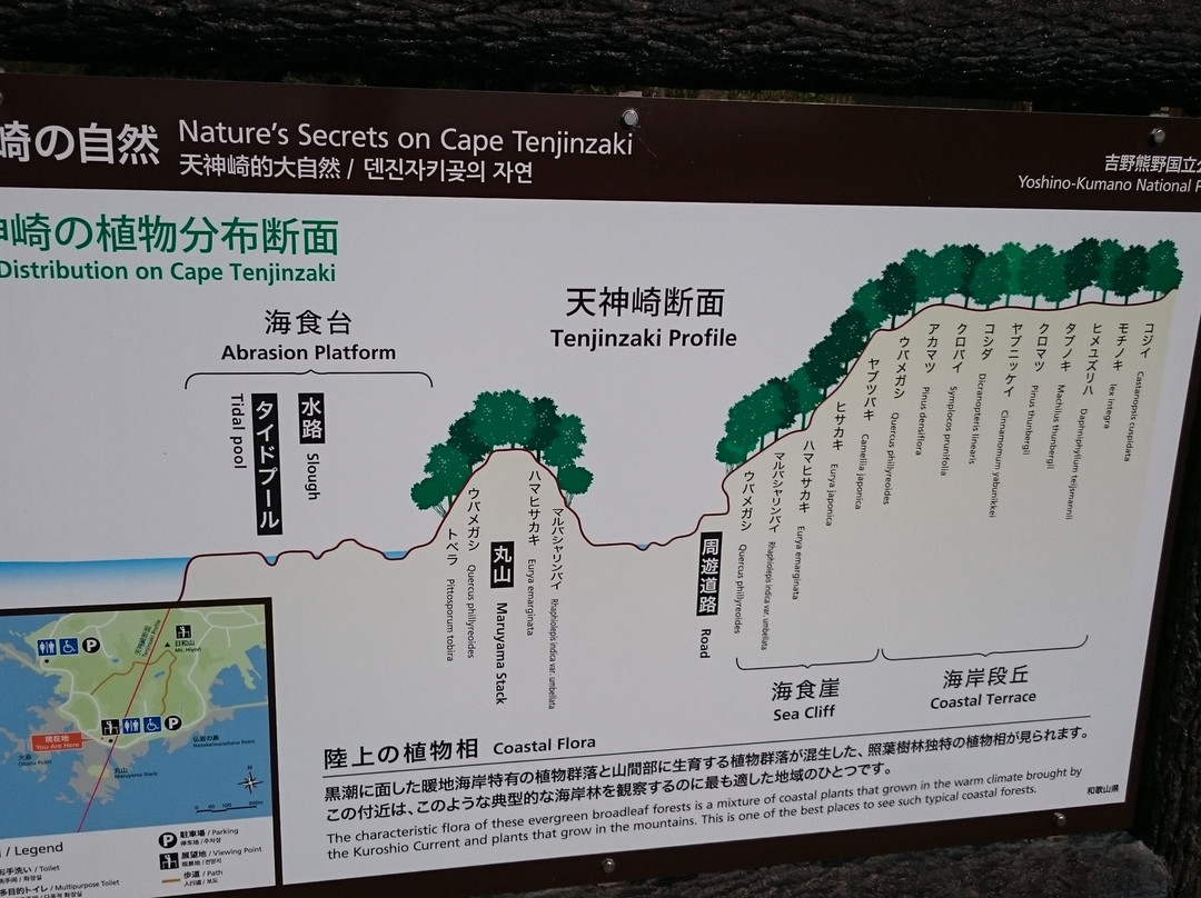 Cape Tenjin-zaki-田边市必去景点