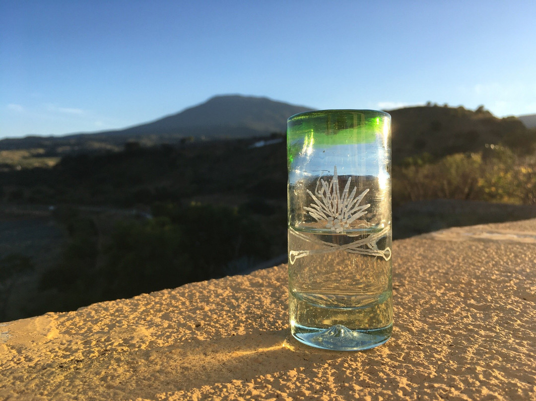 Experience Agave-特基拉必去景点