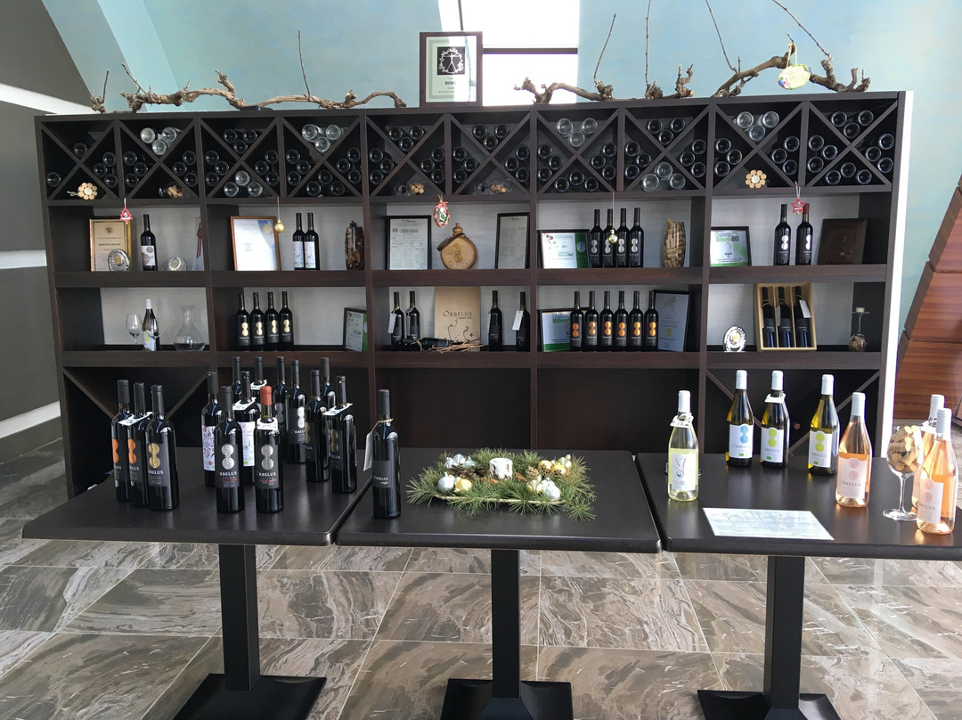 Orbelus Organic Winery-Blagoevgrad必去景点