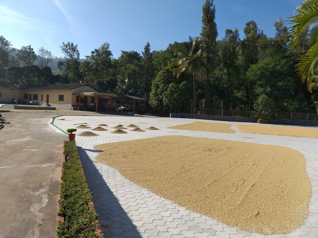 Coffee Tranquil Homestay主图