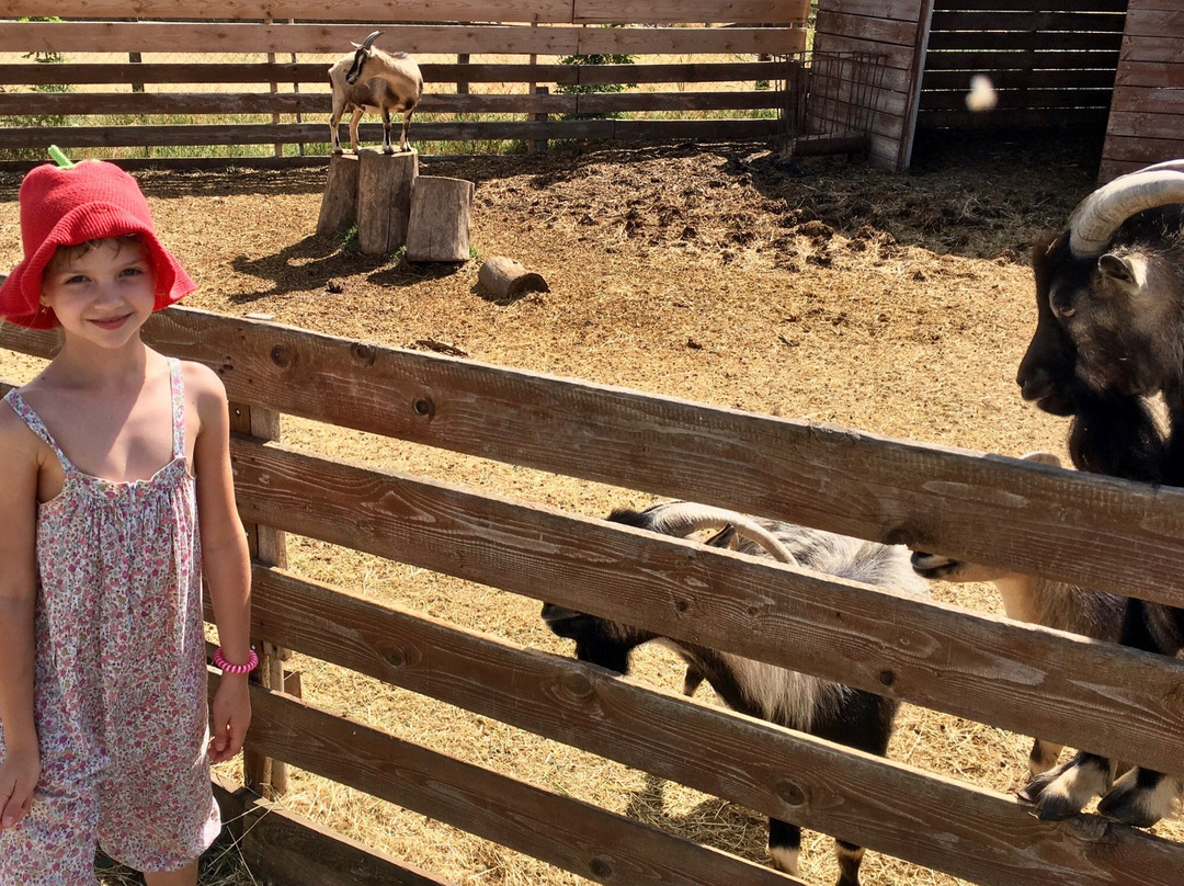 Ostrich Farm Straus Yug-Melitopol必去景点