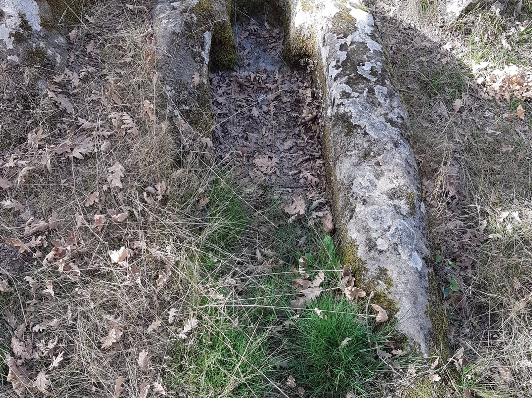 Necropolis de Cuyacabras景点图片