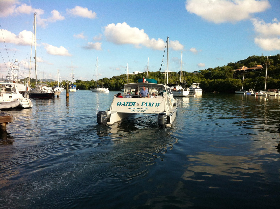 Dolphin Water Taxi-圣 托马斯必去景点
