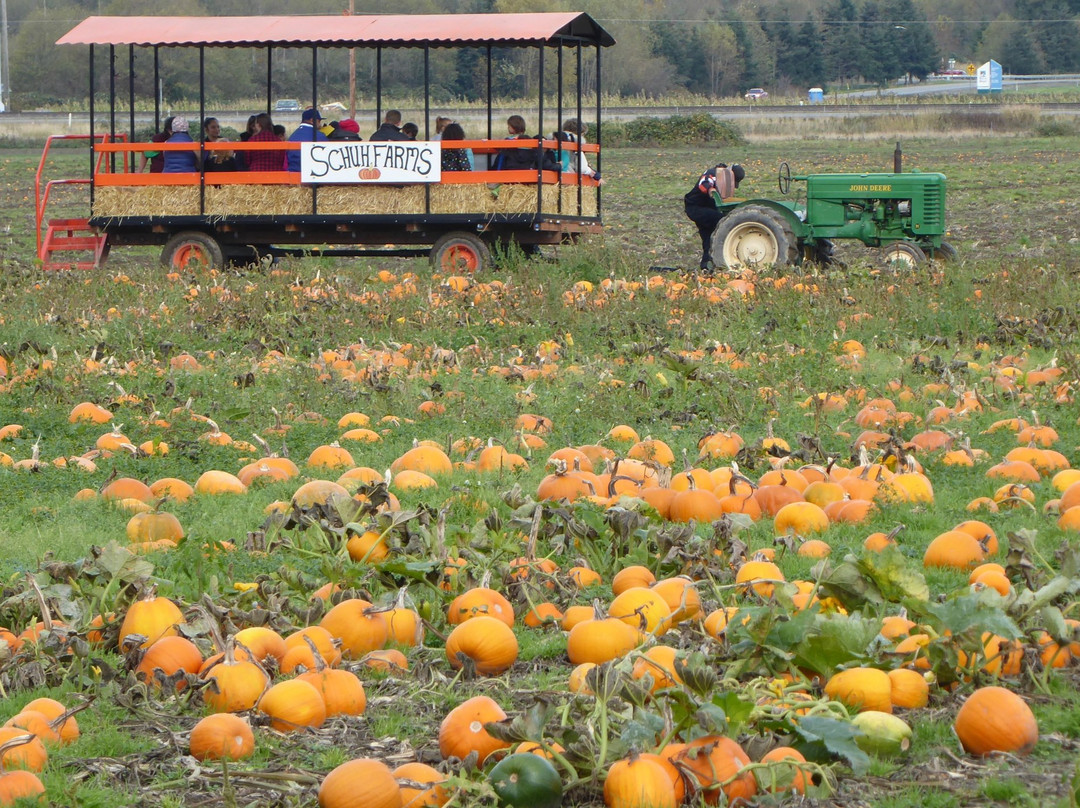 Schuh Farms景点图片
