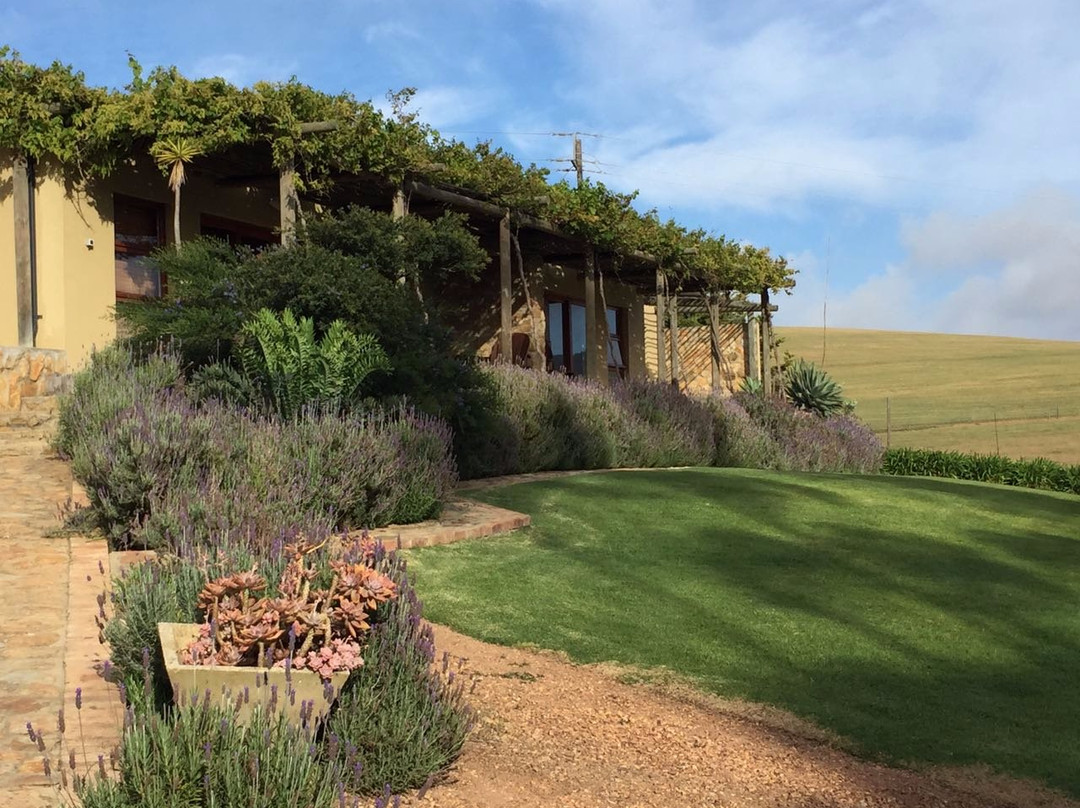 Botrivier酒店住宿-Rouxwil Country House