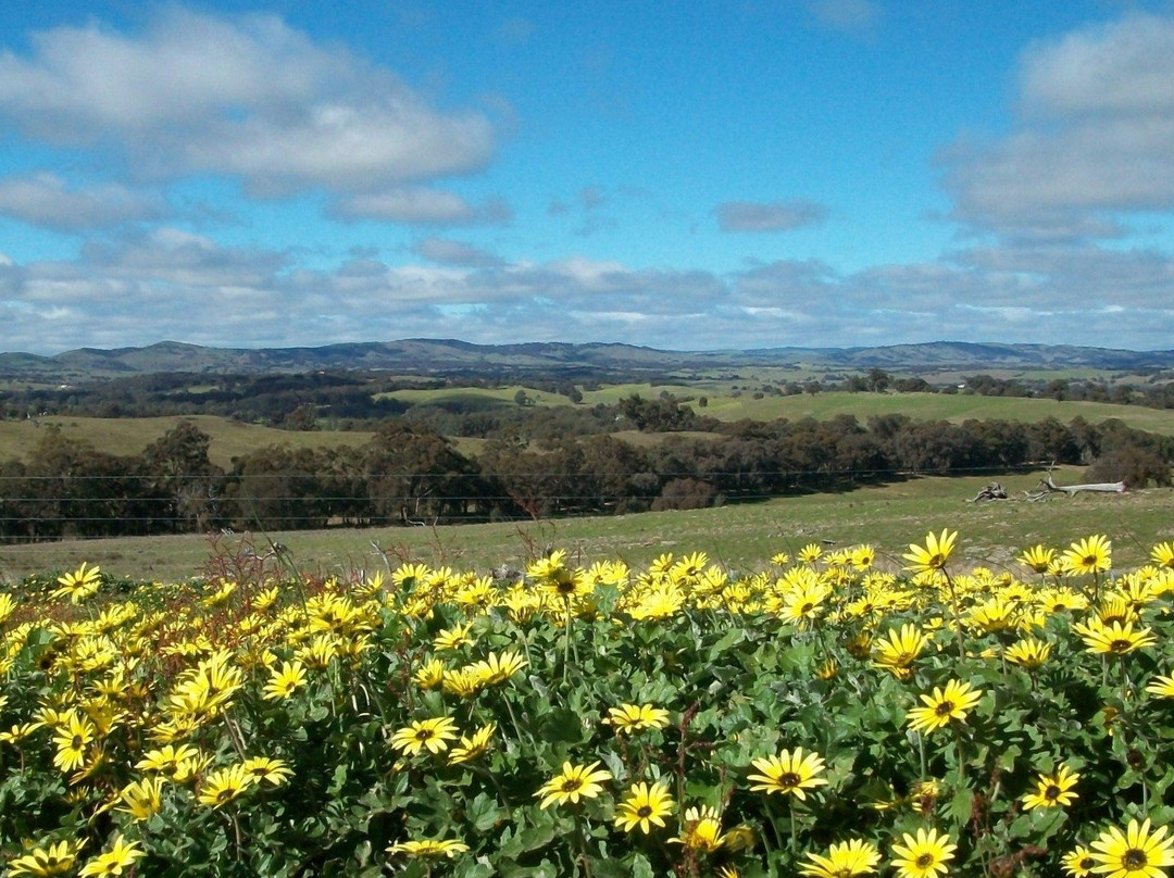 Heathcote旅游攻略图片