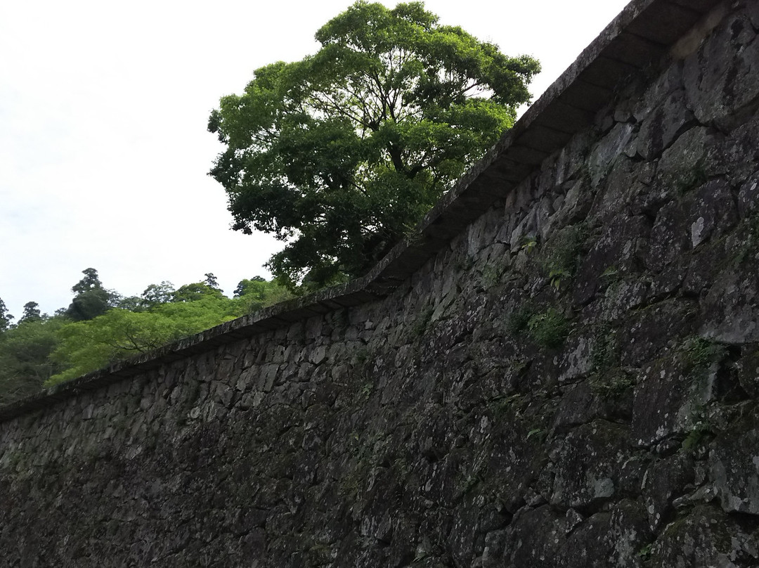Hitoyoshijo Castle History Museum景点图片
