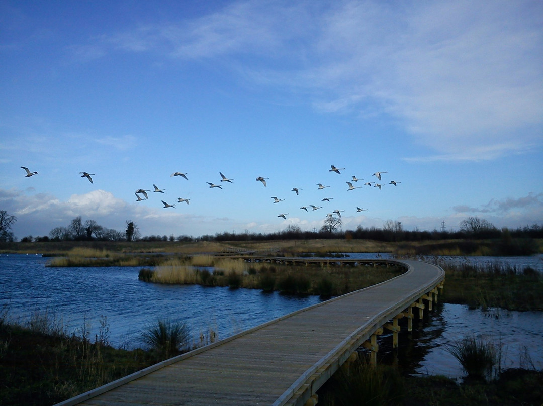 Rspb Langford Lowfields-特伦特河畔纽瓦克必去景点