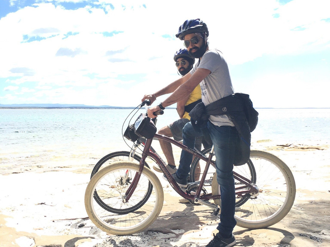 Around Jervis Bay Bike Hire - Day Rentals景点图片
