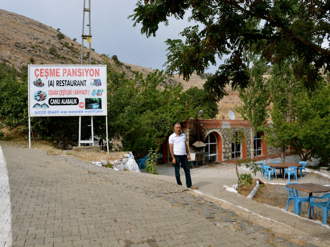 Nemrut Cesme Pension主图