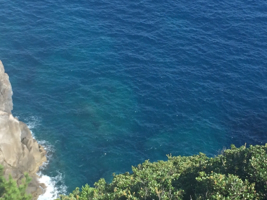 Kannon Rock Observatory-大月町必去景点