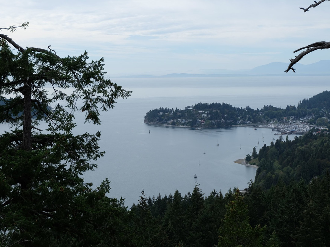 Soames Hill (aka Knob Hill)-吉布森斯必去景点