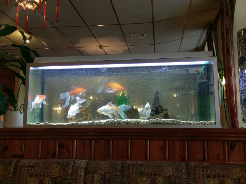 Restaurang China Garden