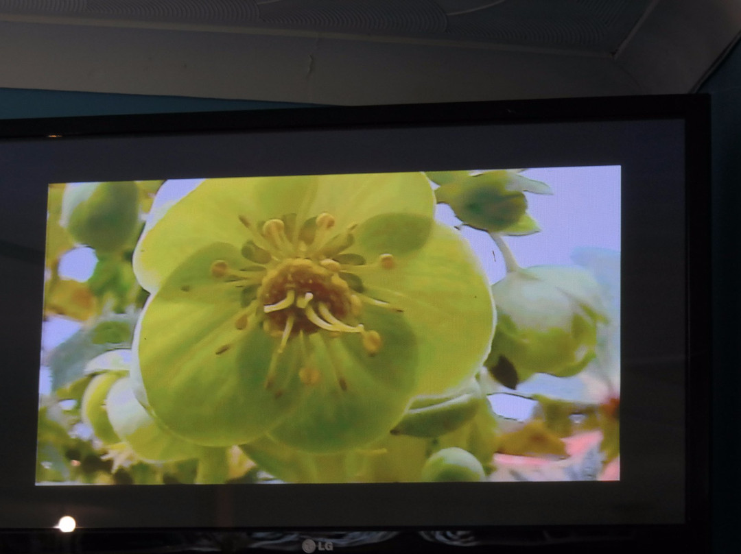 Porteath Bee Centre-Wadebridge必去景点