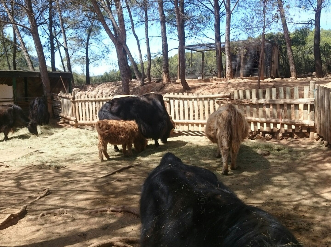Mini Ferme Zoo-Cessenon-sur-Orb必去景点