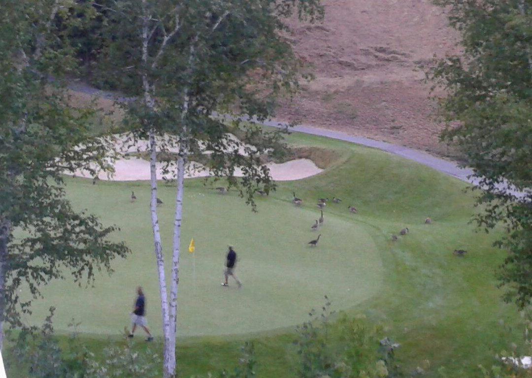 Red Tail Golf Club-Devens必去景点