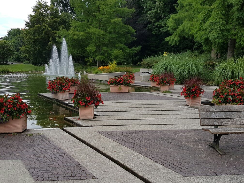 Kurpark Bad Bellingen景点图片