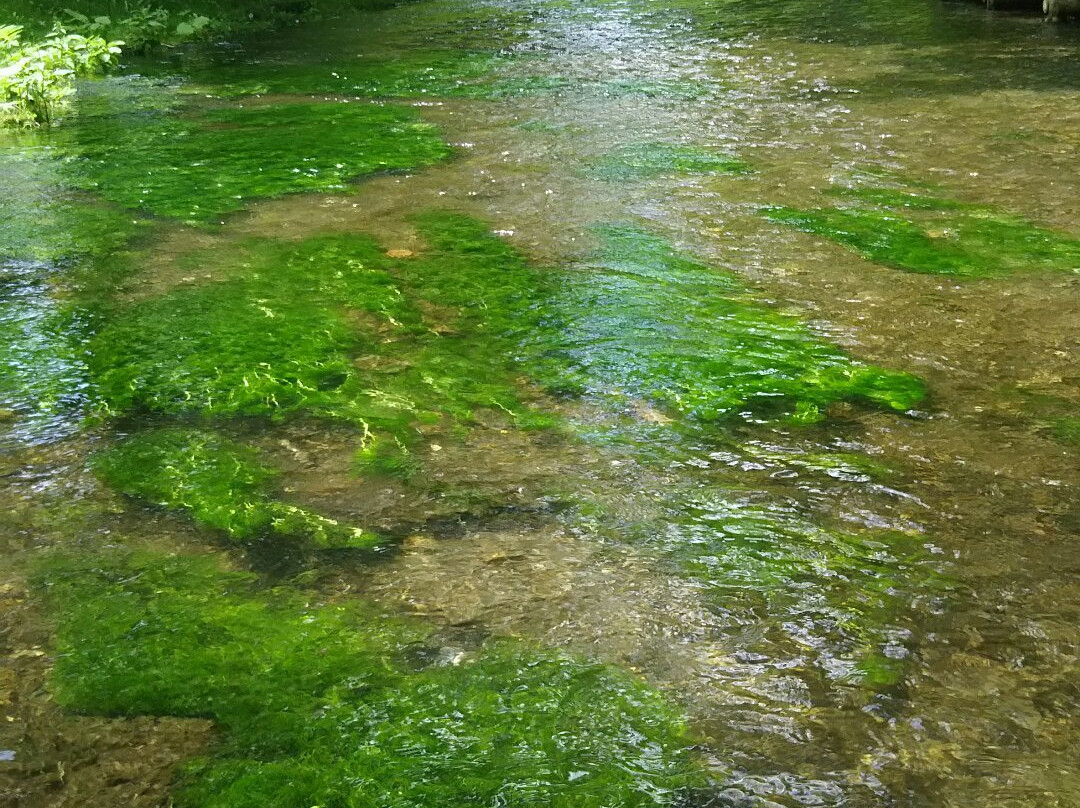 Meisui Fureai Park-千岁市必去景点